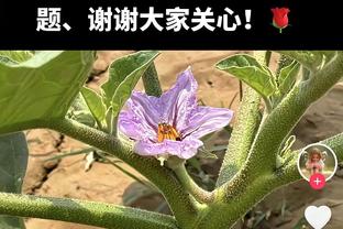 霍伊伦数据：2射1正进1球，贡献1拦截1抢断，7次对抗成功3次