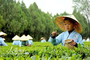 曼晚：曼联在欧战中的表现更吸引人们的关注，球队在不断的进步